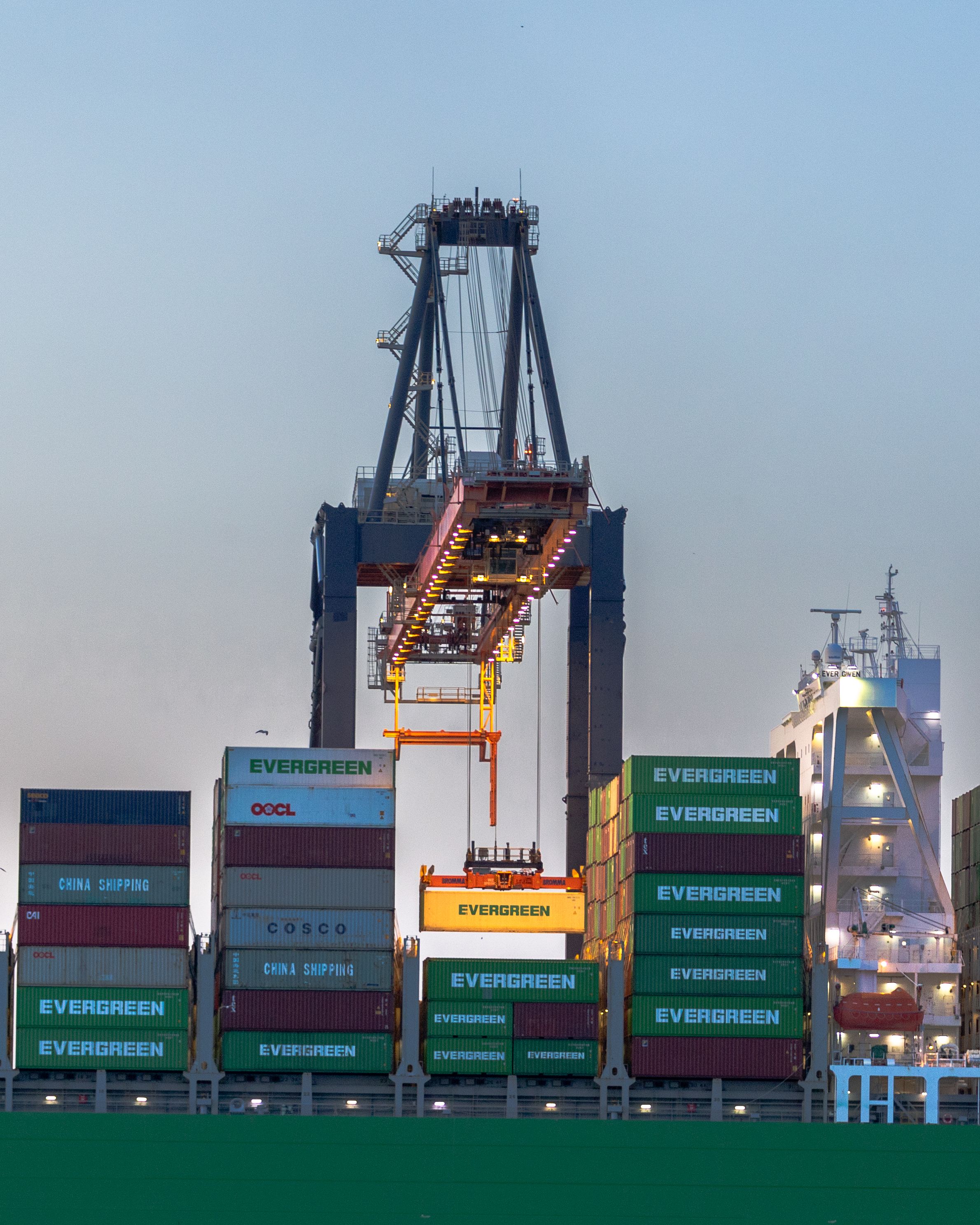 Global international trade and workforce network
